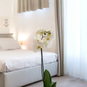 Santa Croce Apartment